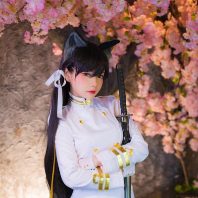 华体会体育游戏v47.4.99.41 官方正式版 0